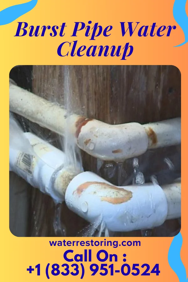 Burst Pipe Water Cleanup in Cape May, NJ