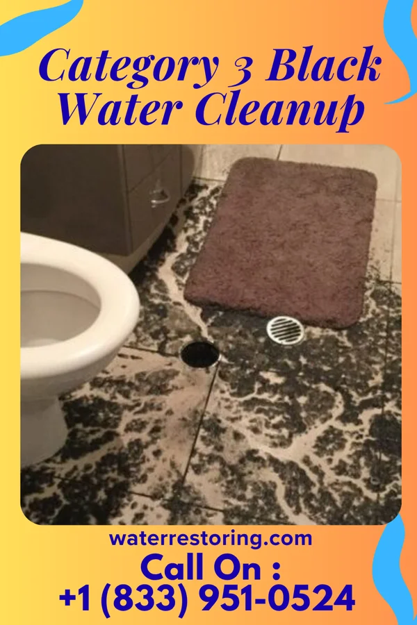 Category 3 Black Water Cleanup in Cape May, NJ