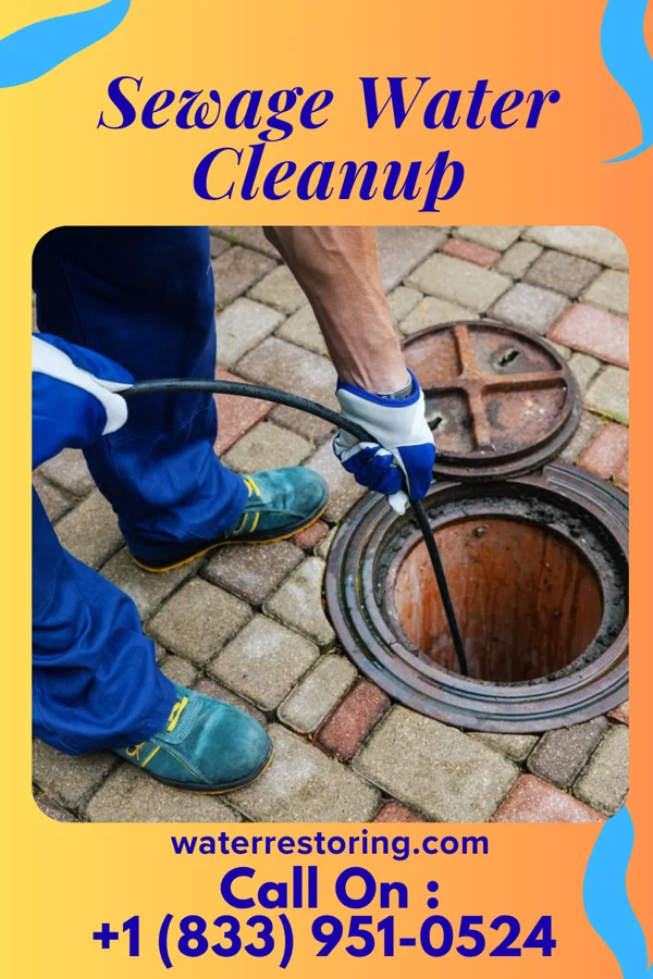 Sewage Water Cleanup in Cape May, NJ
