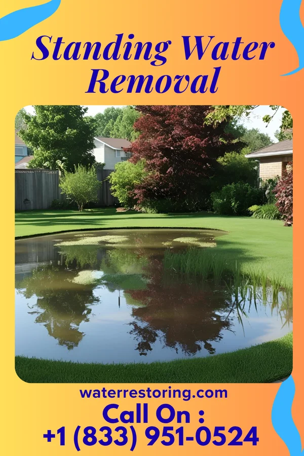 Standing Water Removal in Cape May, NJ
